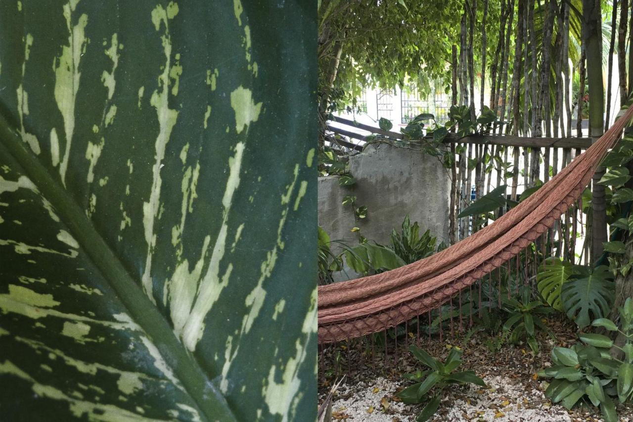 Wabi Sabi Garden Guesthouse By Amara Concepts. Tulum Extérieur photo